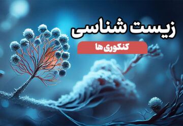 جمع بندی نهایی زیست دوازدهم