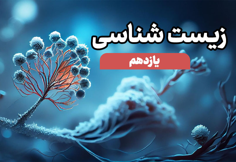 تصویر شاخص
